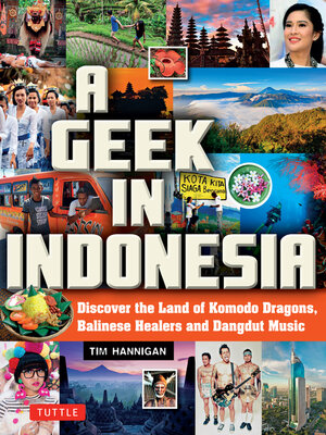 cover image of Geek in Indonesia